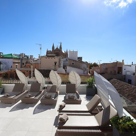 Bo Hotel Palma Екстер'єр фото The hotel's rooftop
